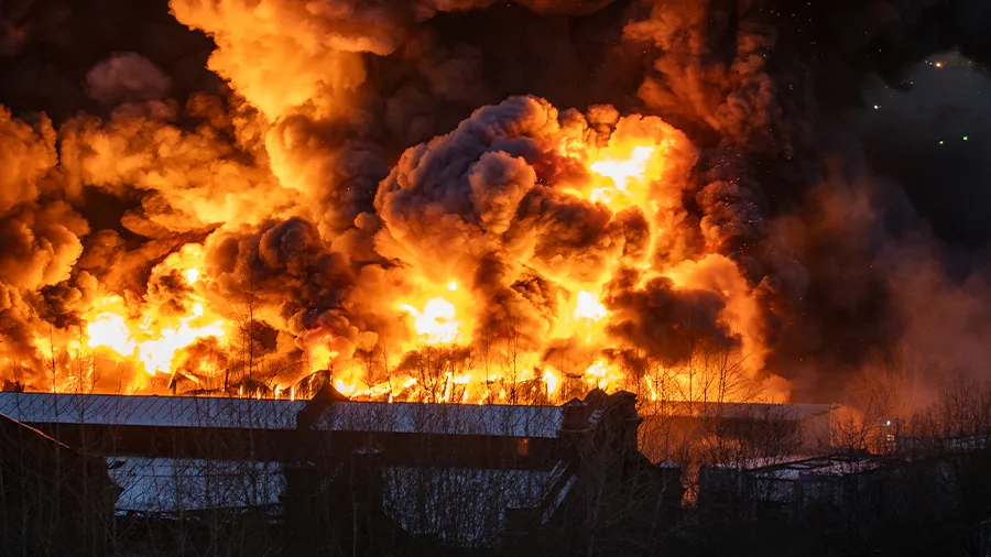 Ex-Proof Applications